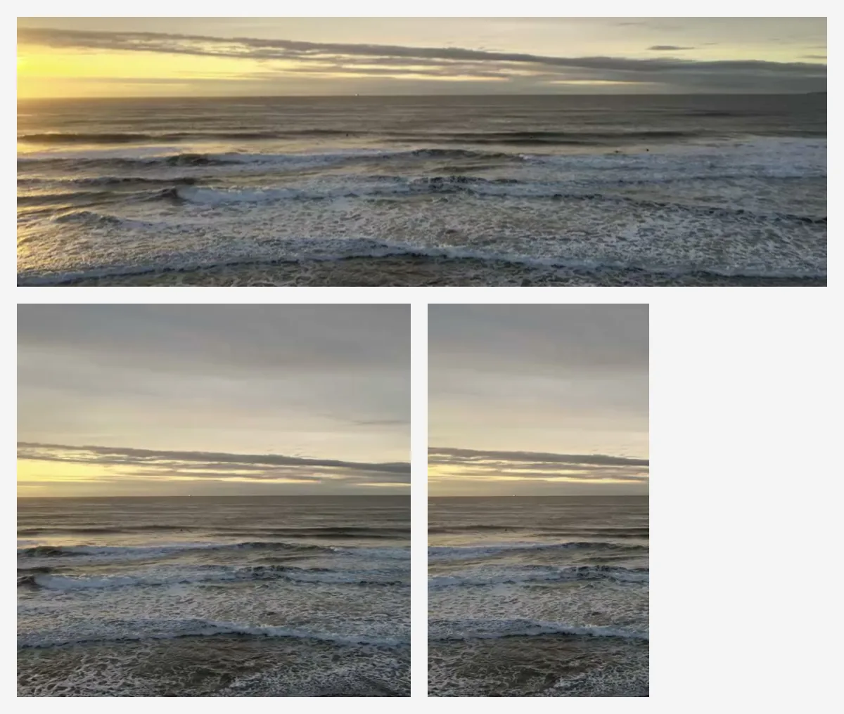 One photo made into a wide header, a square post and a tall story by Cropped's AI tools